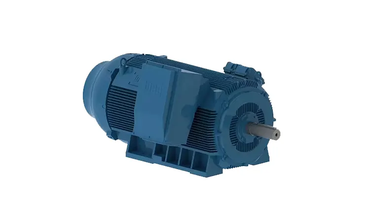 Three phase Induction Motor