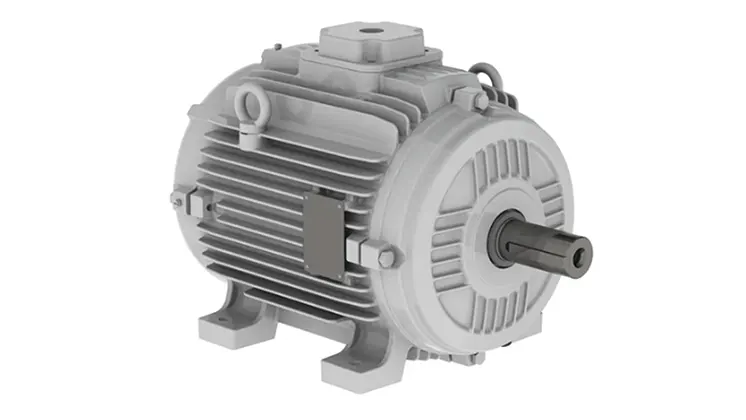 W21 Cast Iron TEAO WEG Motor