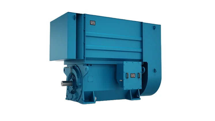 Three-Phase Induction Weg Motor