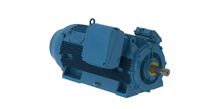 WEG High Voltage Induction Motors